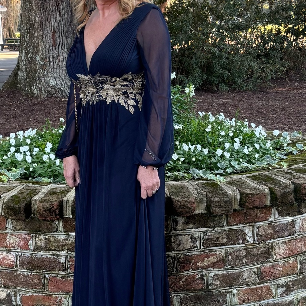 Betsy & Adam Navy Blue Chiffon Gown w/ Gold Embroidered Bodice – Size 6 - Picture 6 of 6